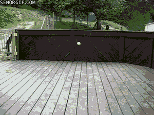 Quand tu accumules les balles de tennis chez toi